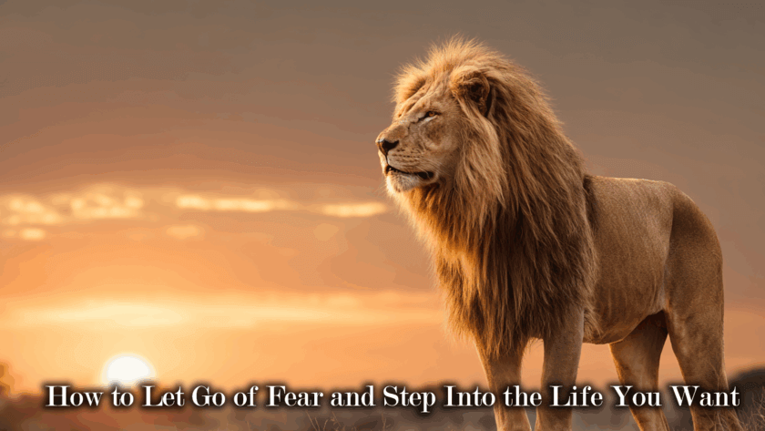 How to Let Go of Fear and Step Into the Life You Want