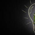 How to Develop a Growth Mindset for Long-Term Success