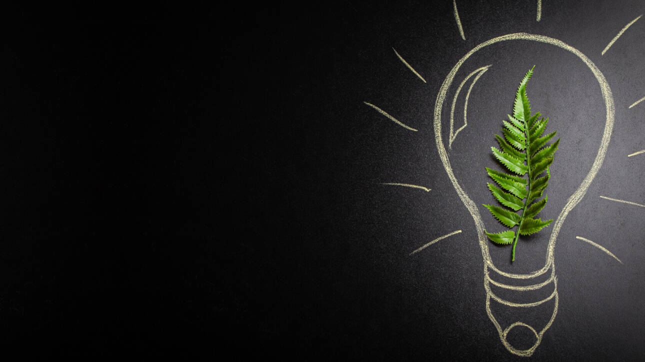 How to Develop a Growth Mindset for Long-Term Success